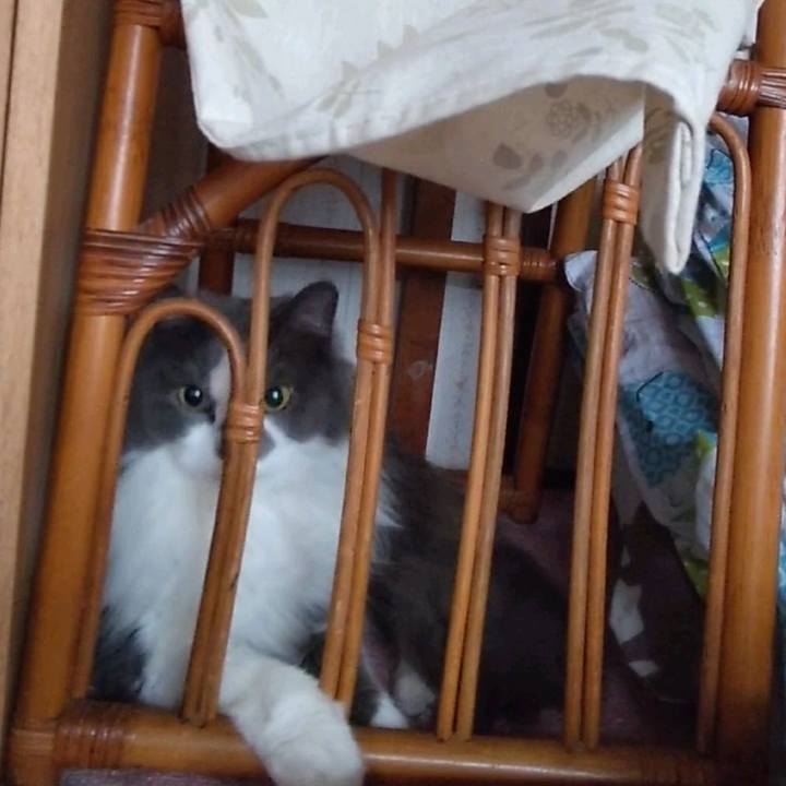 97dd3bcb 7da1 4680 8d38 7c85d3e90dc9 1625783207439