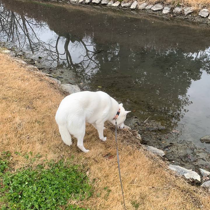 97dd3cf2 cd26 4067 a8ae e60e148f926c 1547376666650