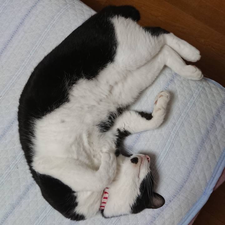 97dd6508 b9d4 415a 98e8 3f8a54f9ca81 1659826339168