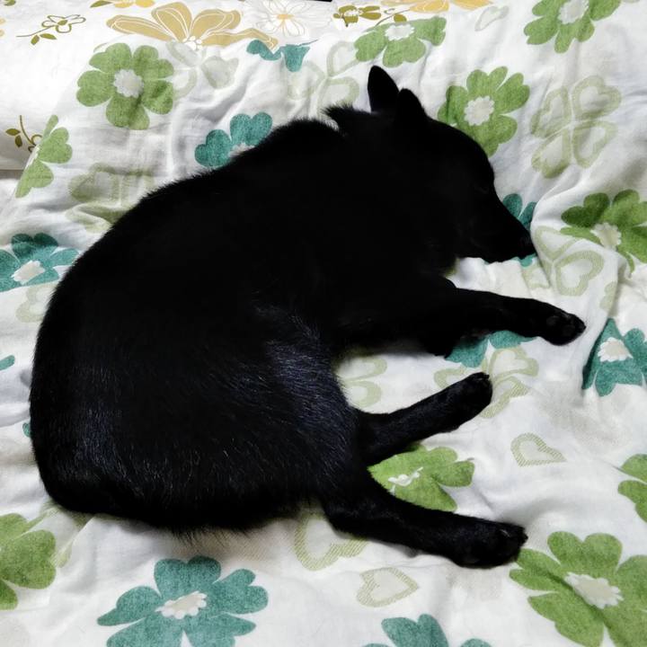 97dd7b1f 8a02 4b7e 8432 39665782b14a 1566131229411