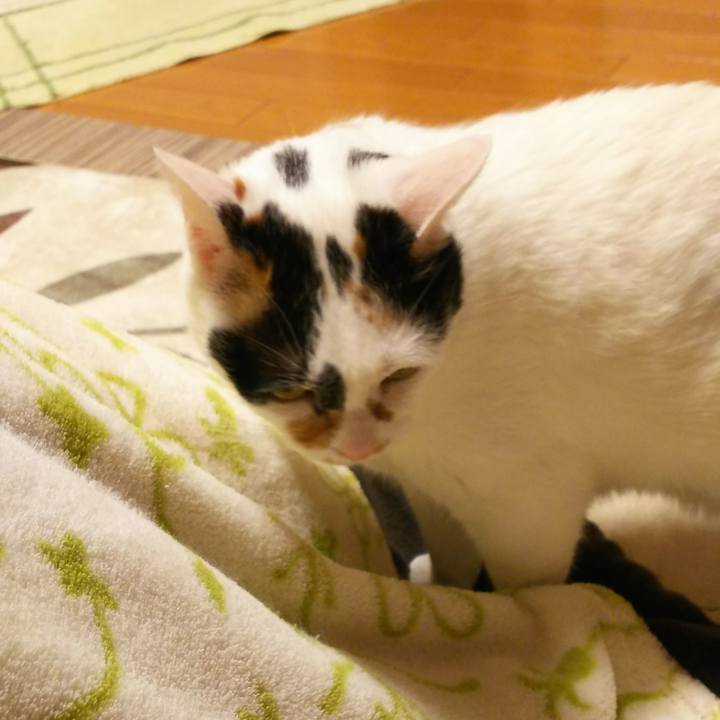 97dda82e 9cb7 4f13 a88f d499162dd24c 1516626018680