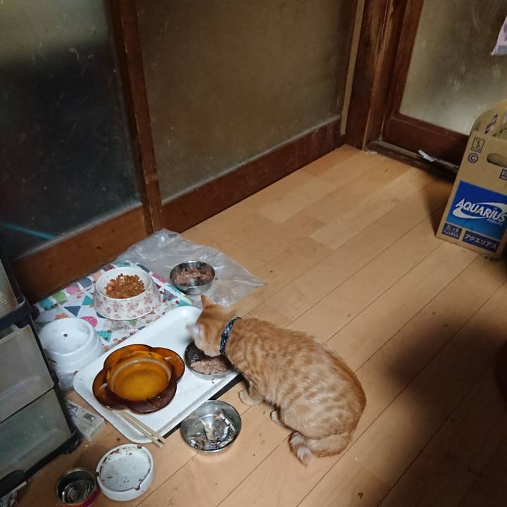 97ddb4cb c7e2 4f8d 9069 24693d54fa62 1635844746865