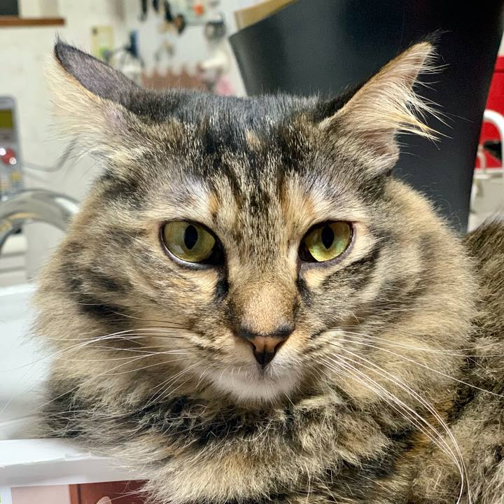 97ddd420 ab03 48d9 ae03 5a30249d77fa 1679145419352