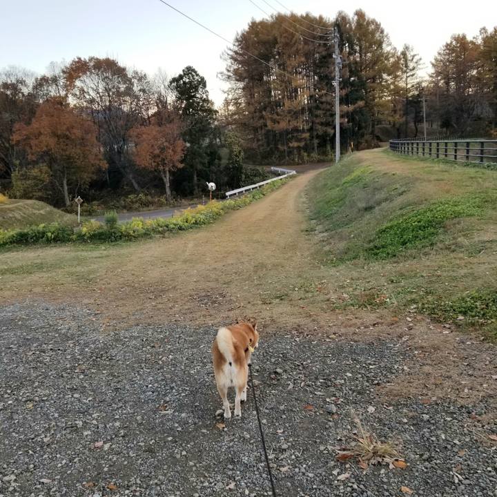 97dded2d dad2 47f7 82c9 9fc790d2dcd3 1668409829505