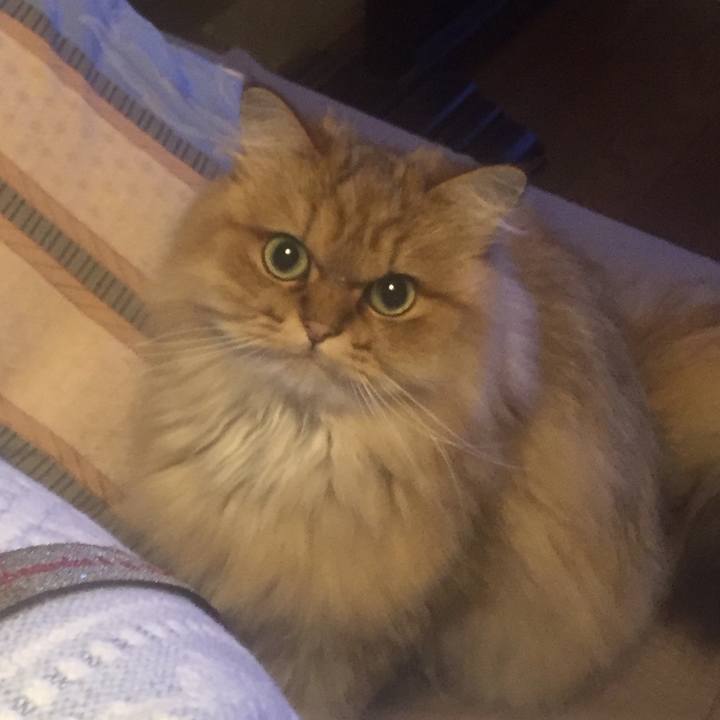 97de2d0a 21b7 47f6 bcc6 0839f6ffb1e1 1566651041050