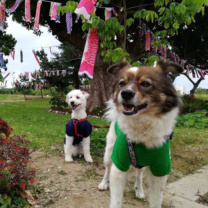 97de5afe 8279 4894 b750 9ddc19a582cb 1525439615698