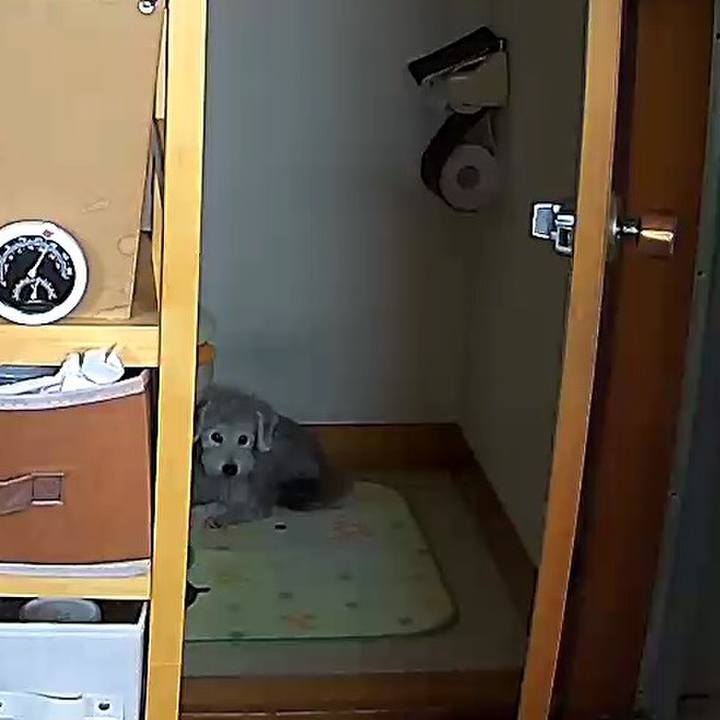 97de7068 6cd2 48d2 b220 ad6b11e6eed3 1566862324069