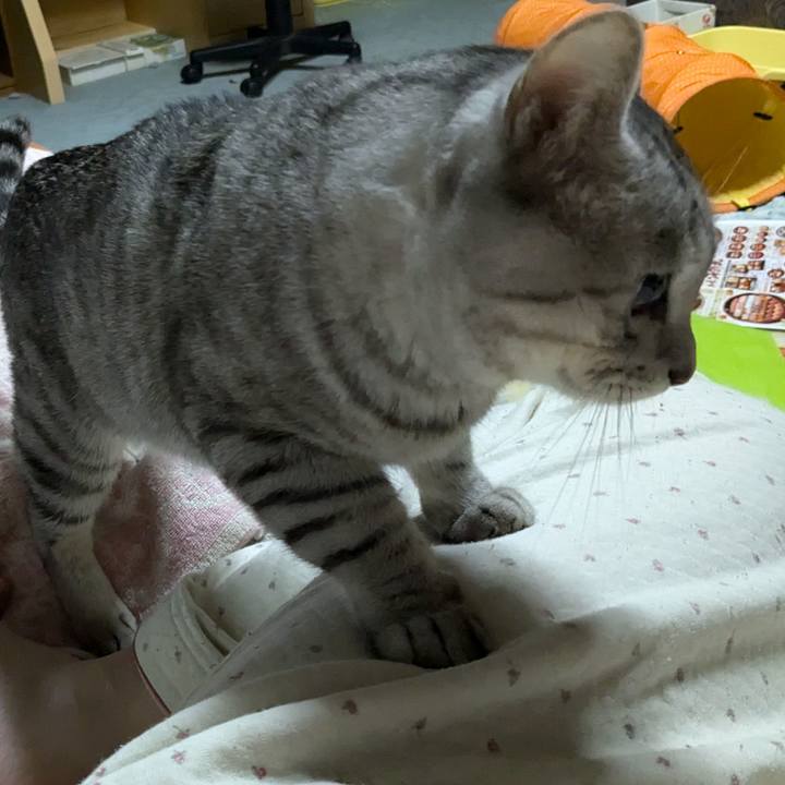 97de8bb4 d71e 4b6d a58f c98208c4c1bb 1733763430695