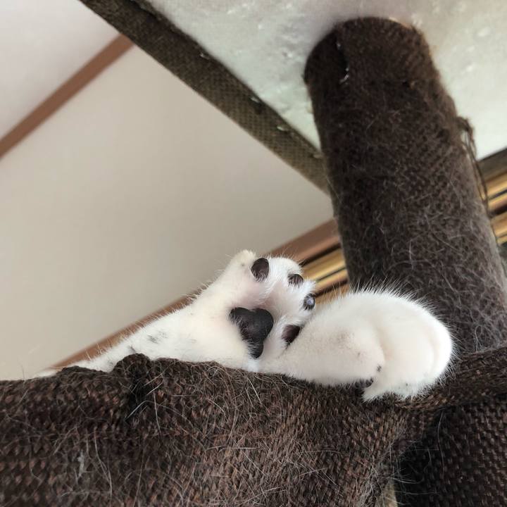 97deb746 c336 48d4 ba69 49f230570e91 1563849428565