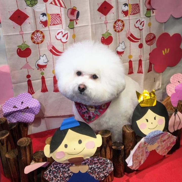 97debb60 f17c 4fd3 a1c7 f906f05f1bc7 1583199399860