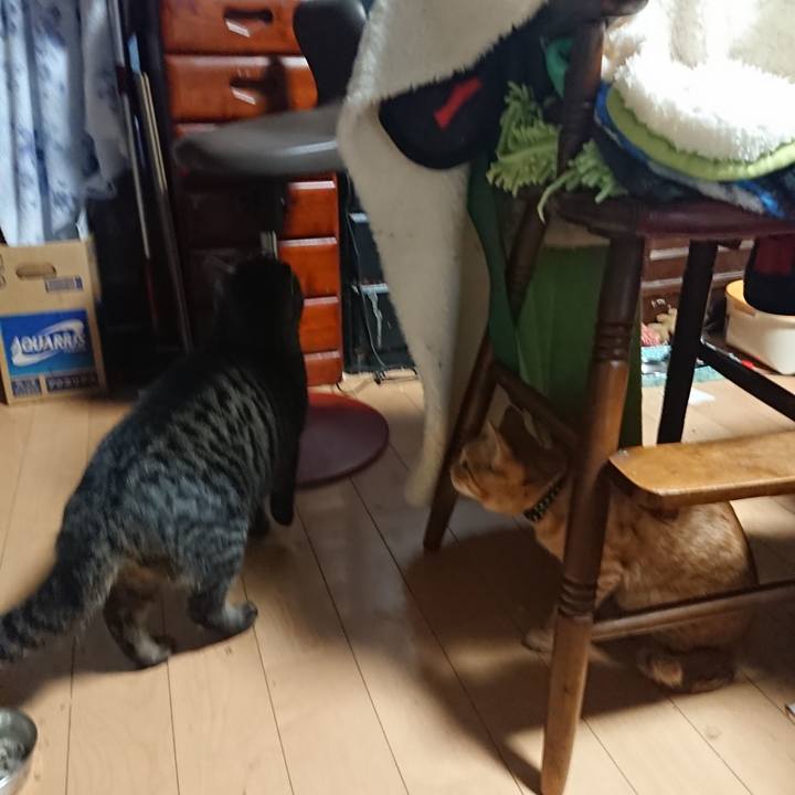 97deccfa d3e6 43f9 b15c 2137f9565a14 1636235306123