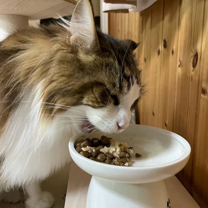 97df255d e62f 428e bbc2 cbac69e9ca56 1678477219132