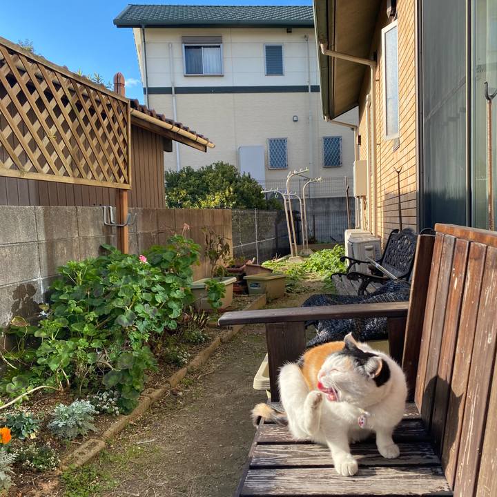 97df8cf9 06eb 49de b736 18e168997ec7 1642500854494