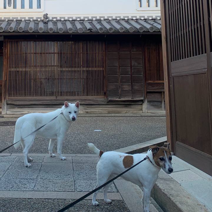 97df9011 da0c 4f85 8e96 8f962be46b58 1544921418470