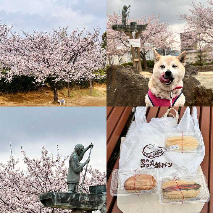 97e04b29 6b72 4ab9 8048 85aa26b94f1e 1744277587247