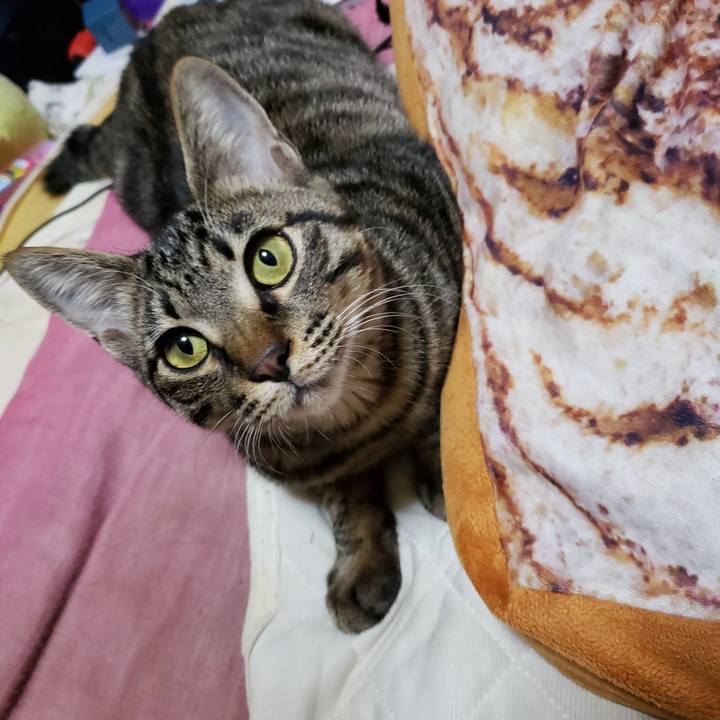 97e04e2d 4a59 4389 bf53 6d4a7a55fa3d 1544340471736