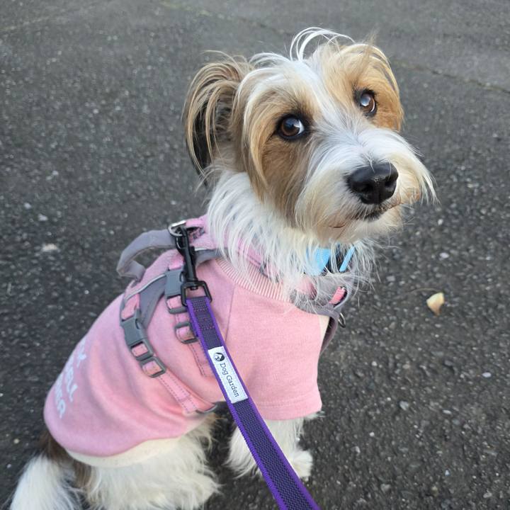 97e0aa8d 407d 413f 9cfc 84e446c62db4 1766403105079