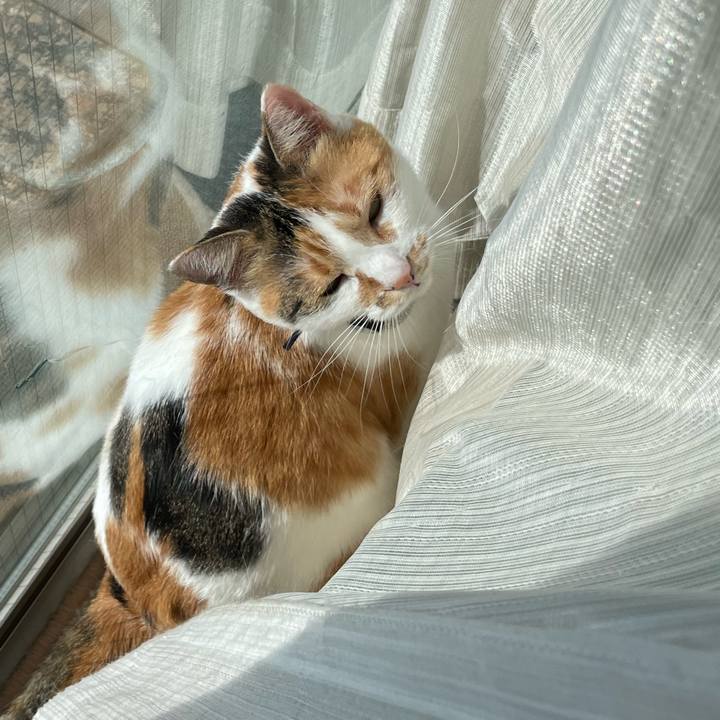 97e0c407 bcb5 47c9 8d44 e040f0b4ad0a 1666500708875