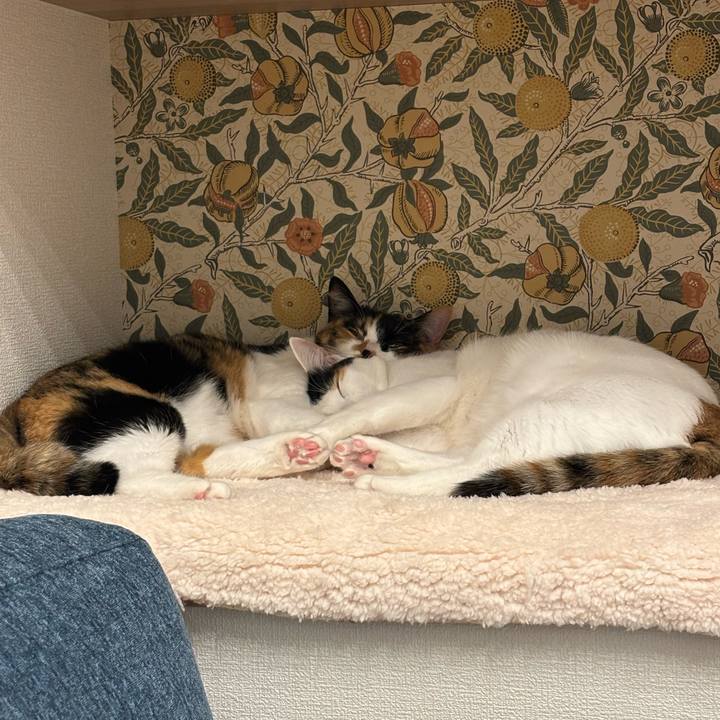 97e0ca4b a0bf 4b1d a2e1 b50933fc9a21 1782469658108
