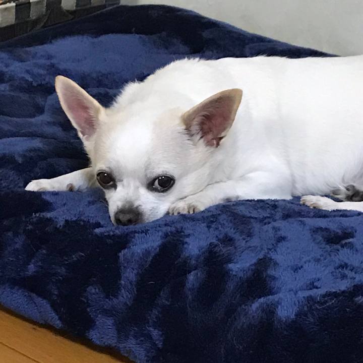 97e0eacd c475 4d81 831f c0f6e47071c9 1549369397829