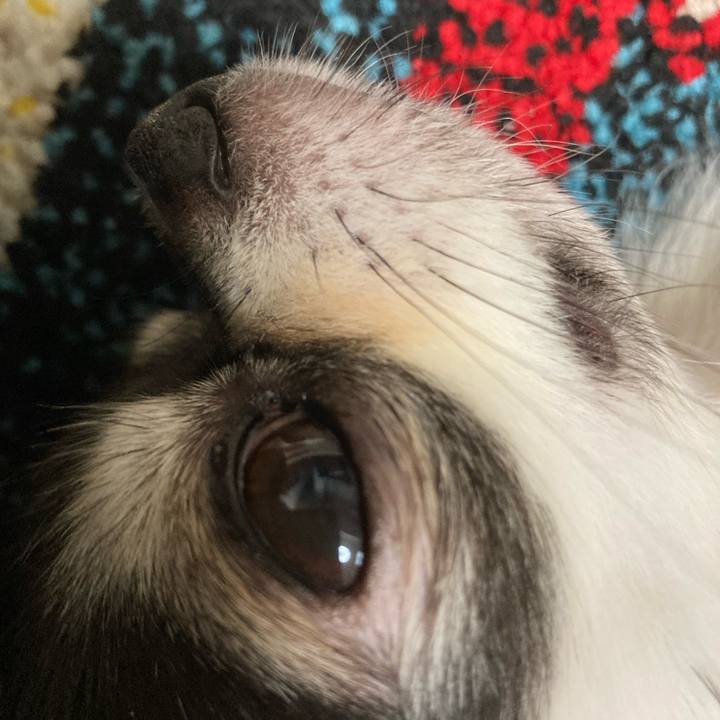 97e12102 c21e 4ade 833f aa8e0d4b25b8 1694878730251