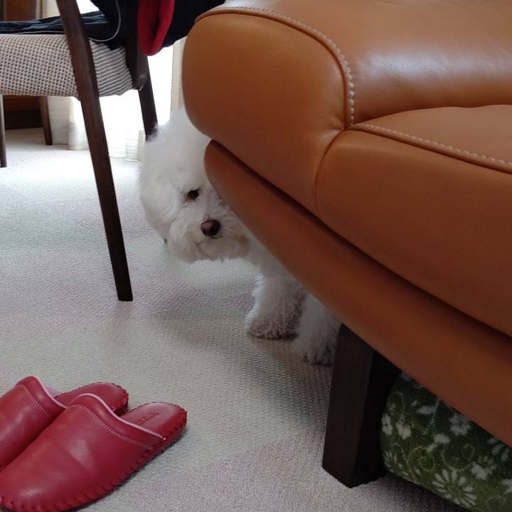 97e15986 31cd 41fb abf9 8766e6edd78d 1593320498957