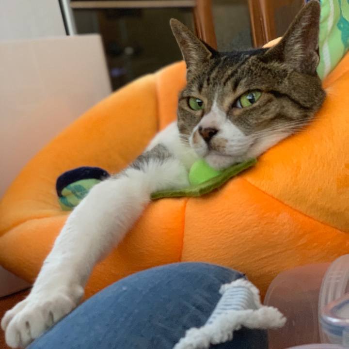 97e16ada 2ef1 4cb2 ae29 3e9f051b0748 1558833351640