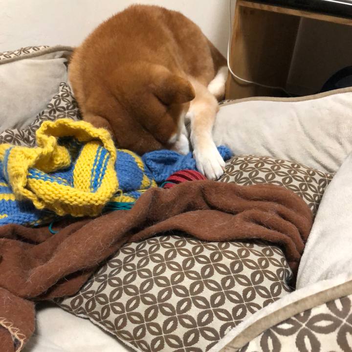 97e1c16b f7ca 4bf5 804a 2c8a58f90717 1550829042907