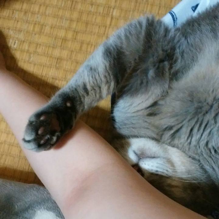 97e1c7fd 8253 4eb0 84ba 5d1ca47fcd8a 1525533305629