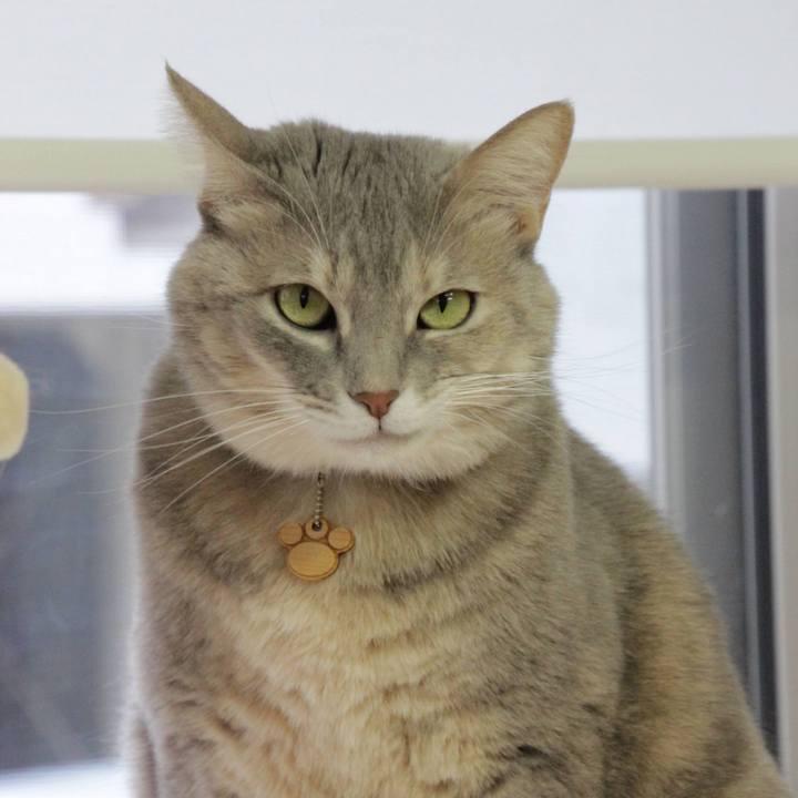 97e1fb43 f6b2 47cd 97b9 0074f00c65d8 1607052098212