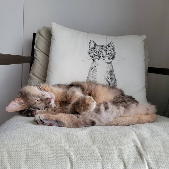 97e20697 8a85 4558 a710 49b4ed5f2e1d 1687354572678