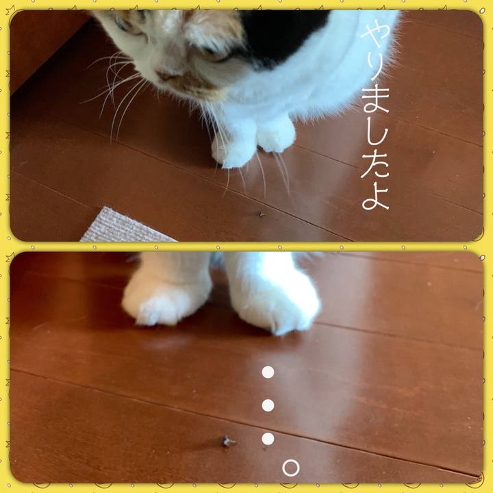 97e22862 99b4 4c12 a7fd 822a5d082488 1562632636756