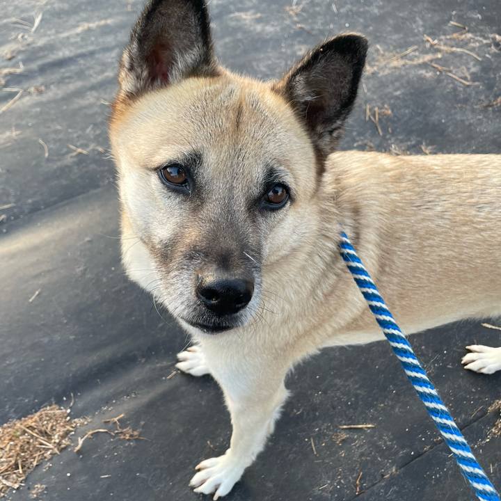 97e2af82 5d48 45e7 8578 4afbe87ef355 1667995979905