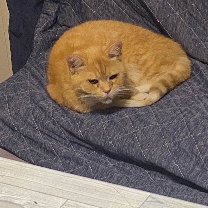 97e2e3e7 47e7 4fa1 9c70 fbf1812aa6e8 1638810908378