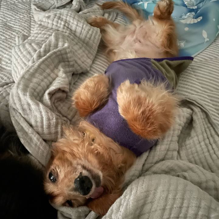 97e2f17e 0a84 4c43 9741 7939610474f0 1694786399940