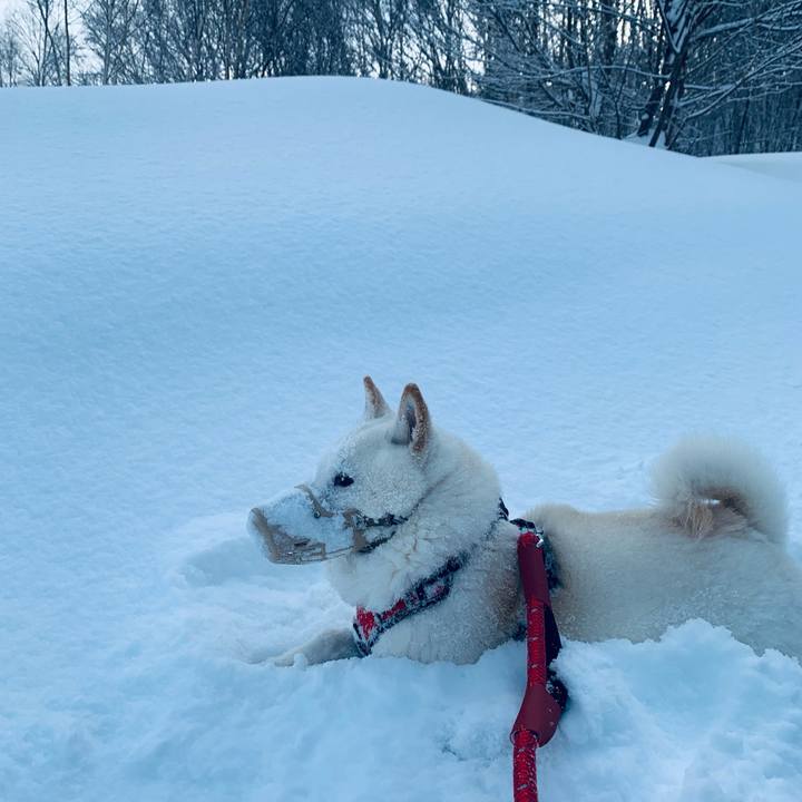 97e2f9fd 5bb3 495e 83a1 b233e8ddef7e 1642293775251