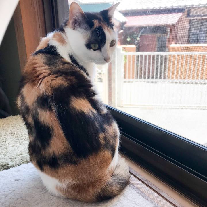 97e316bc d2d2 4cd2 be63 a22ca3a70ba9 1529547237455