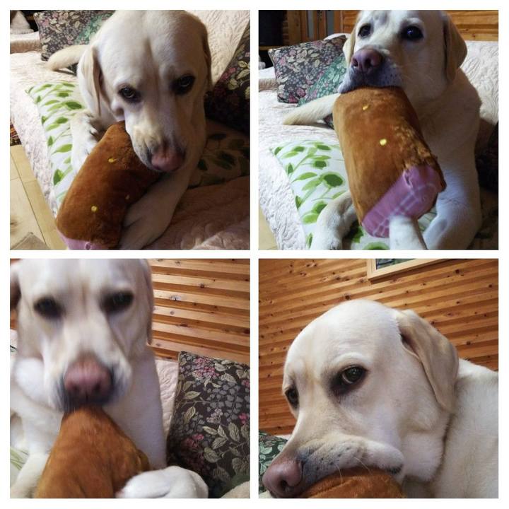 97e386e0 f716 4dd7 a956 3c3b1eff9010 1549349196266