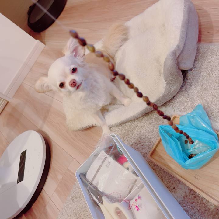 97e3e19c 0ba2 4328 9614 1ac1c2849b15 1694687215411