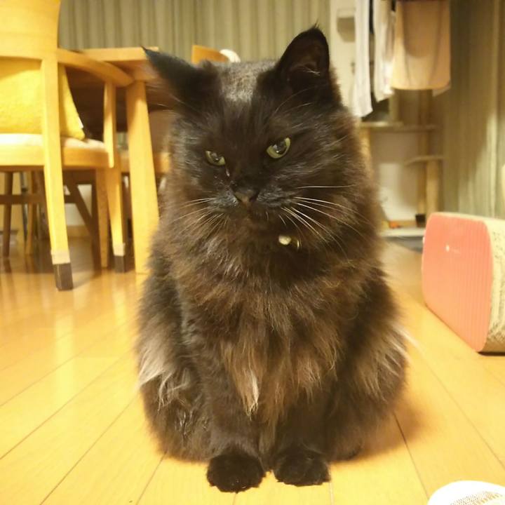 97e3e8f3 a770 4571 ad3b 5fd320d33eca 1525951939706