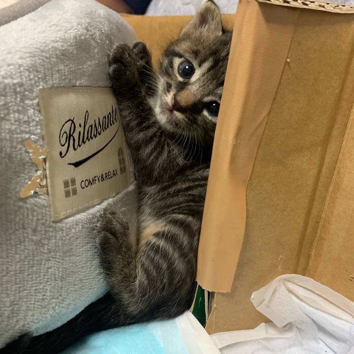 97e40678 3160 4822 ab4b 7234f5a5a0d2 1569854653298