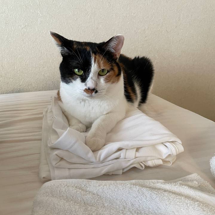 97e4348a 9f3f 4197 b9df 1ac1bb2e9de1 1627116099906