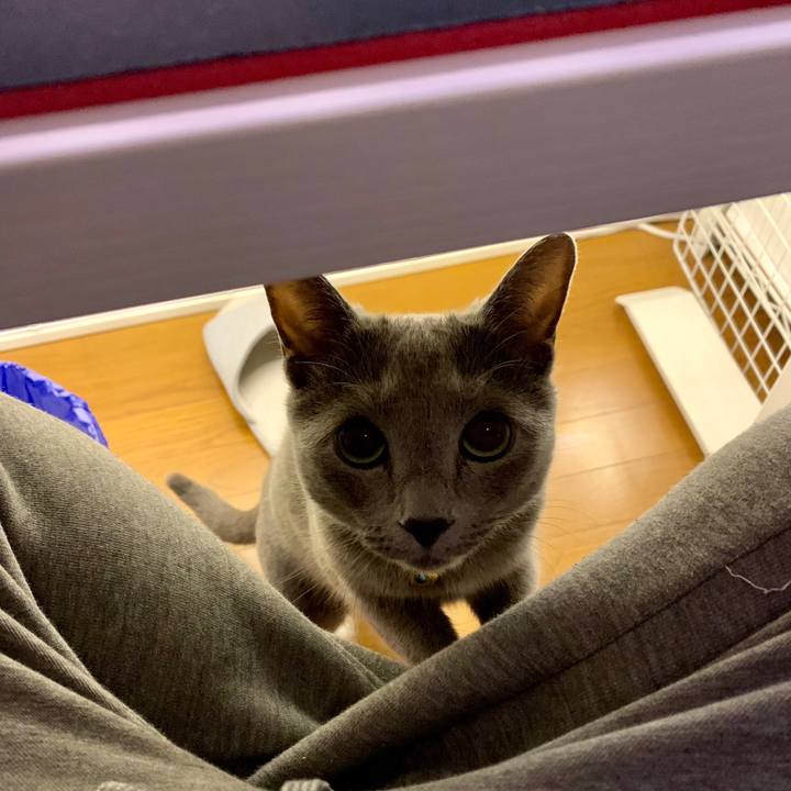 97e486e7 a714 4c97 bb33 f8e0ee75b422 1650530547390