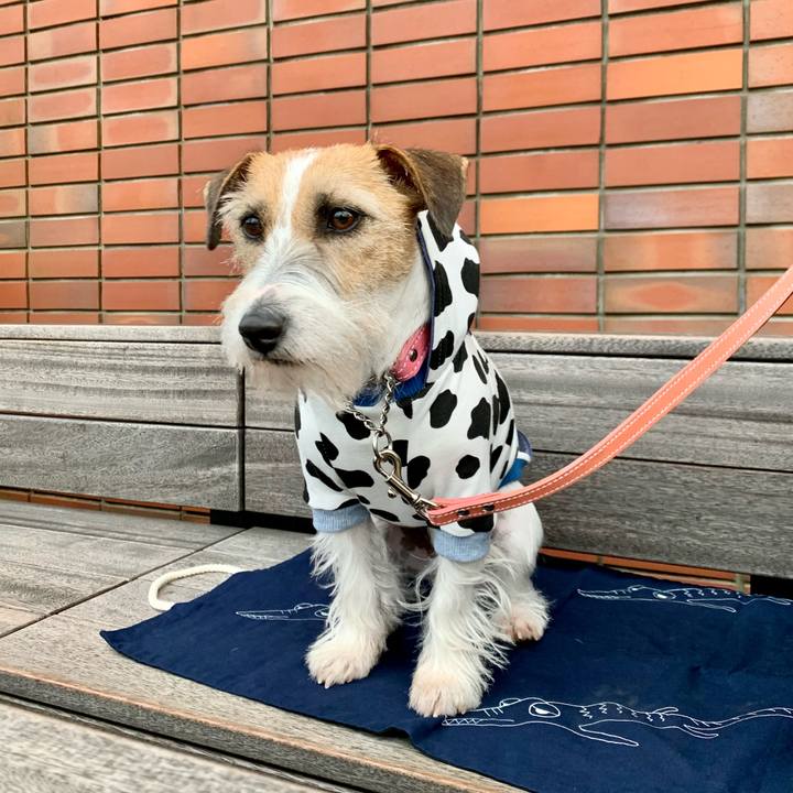 97e49378 54a6 46d3 bdb7 fdec9a610447 1607856864321