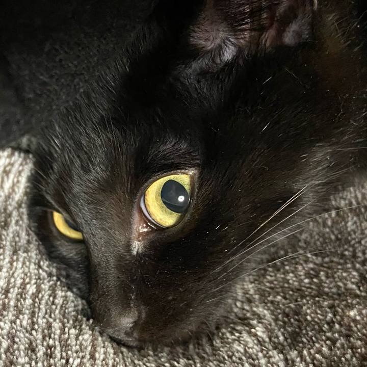 97e4ac82 1af8 4746 bd02 84a71d3d8cac 1615806385221