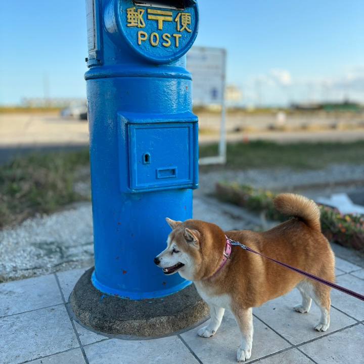 97e4aed6 8f38 4d66 8ee3 269f8e01b560 1699019953067