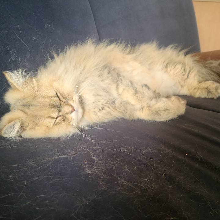 97e4b0c6 2a2d 4f29 9536 67c8c3026722 1650246512774