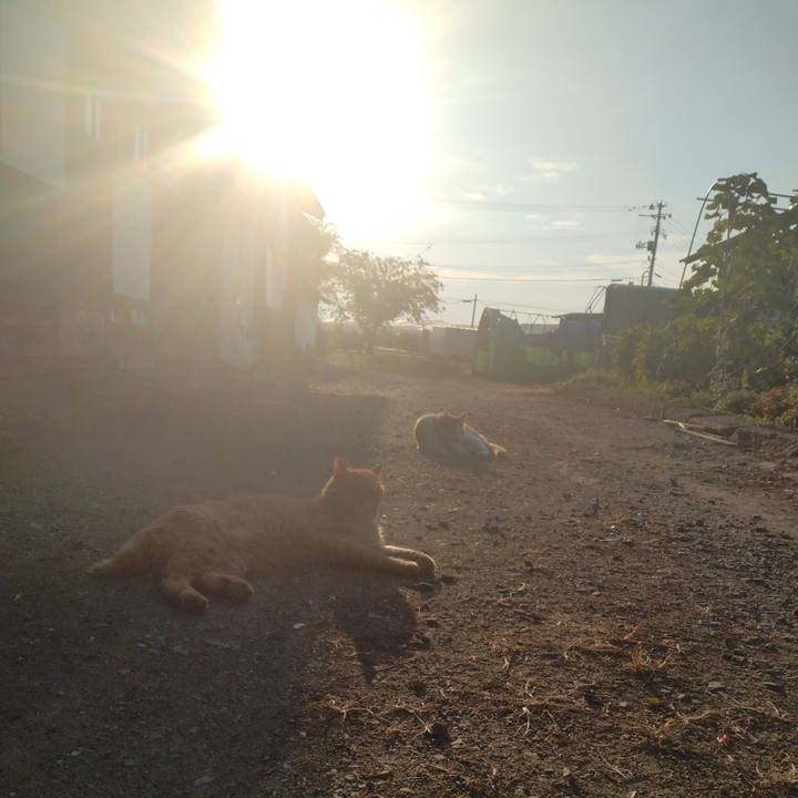 97e4ce92 7e35 4508 ab2e cefde5dffab8 1752962202403