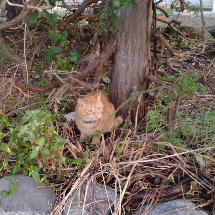 97e4f5ed f5b8 4504 ab39 1bec7a2ec785 1664054440882