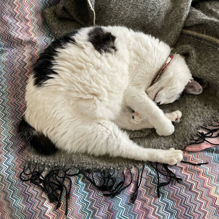 97e4f82c 65b8 44ad 9c5a 01b1bbe98d6d 1649720297593